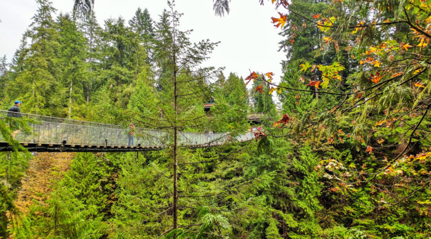 Capilano Suspension Bridge in Vancouver