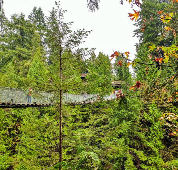 Exploring Capilano Suspension Bridge Park