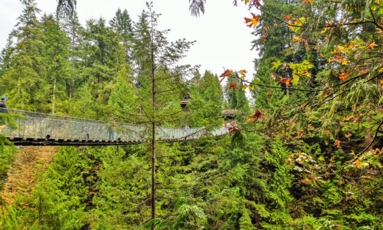 Exploring Capilano Suspension Bridge Park Exploring Capilano Suspension Bridge Park