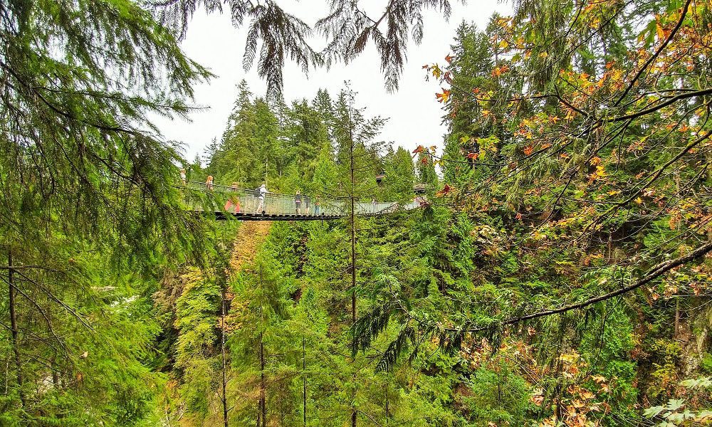 Capilano Suspension Bridge