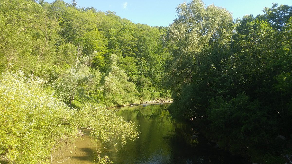 Morningside Park