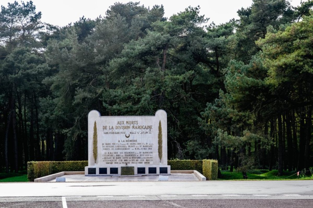 Vimy Memorial (4)