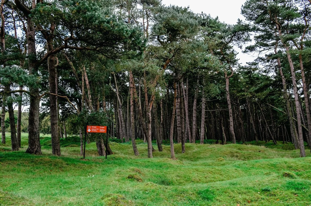 the forest around Vimy Ridge Canadian memorial in France