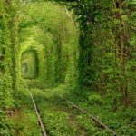 Tunnel of love in the Ukraine