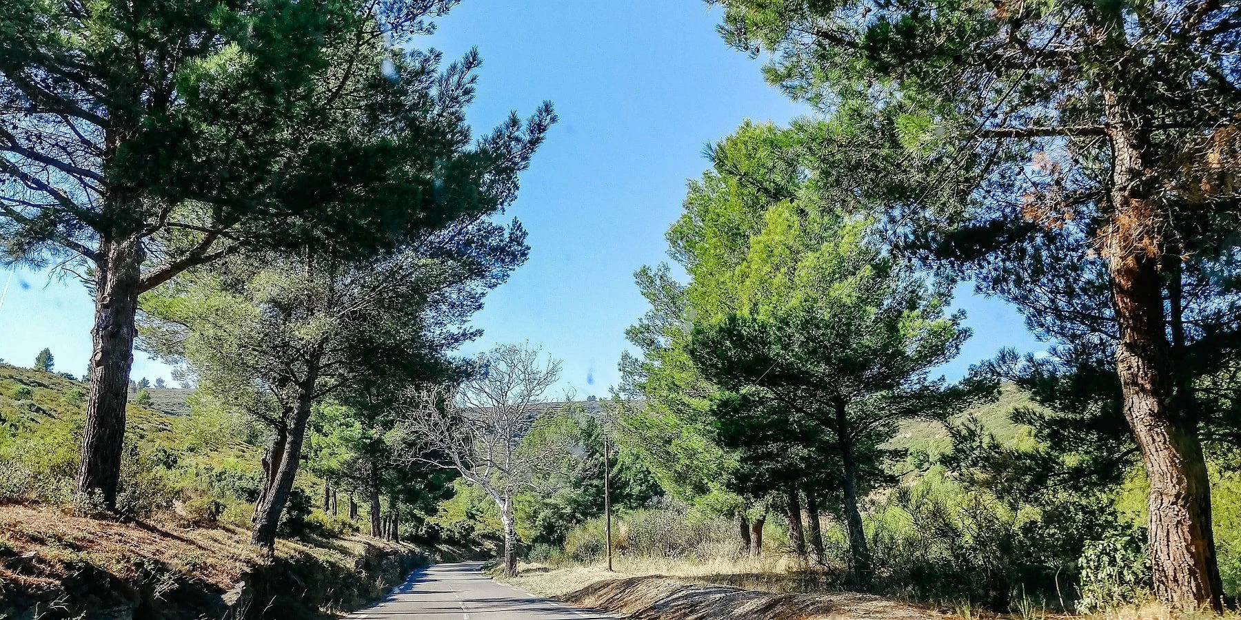 La route des cretes