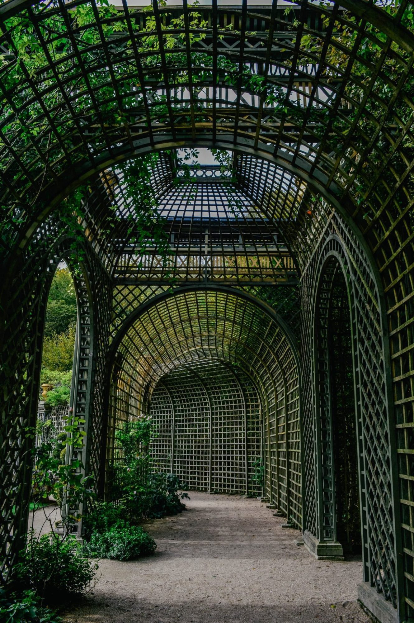 Under the trellis in the garden of Versailles