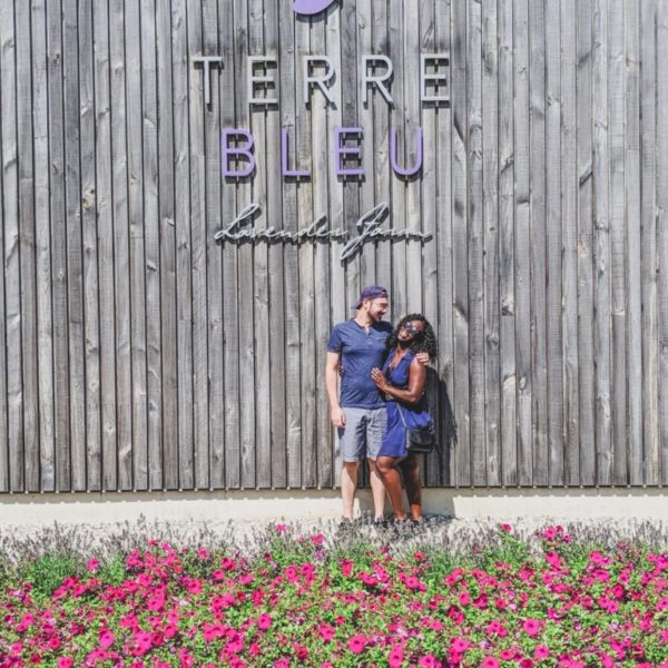 A trip to Terre Bleu Lavender Farm