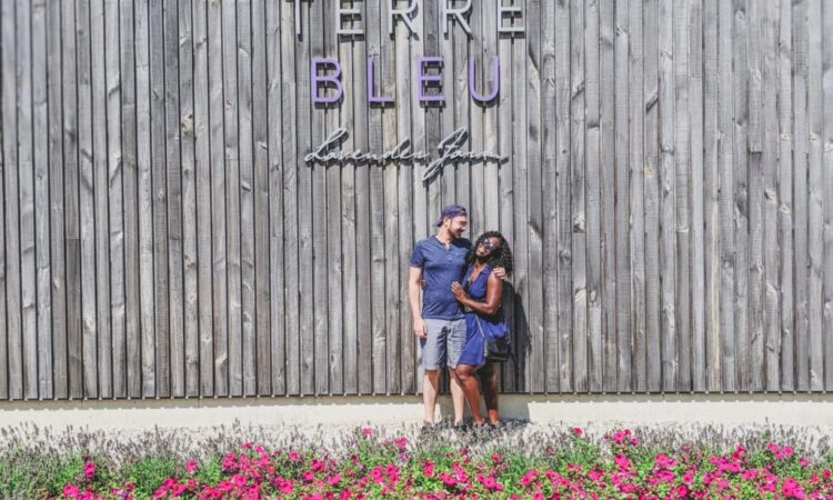 A trip to Terre Bleu Lavender Farm