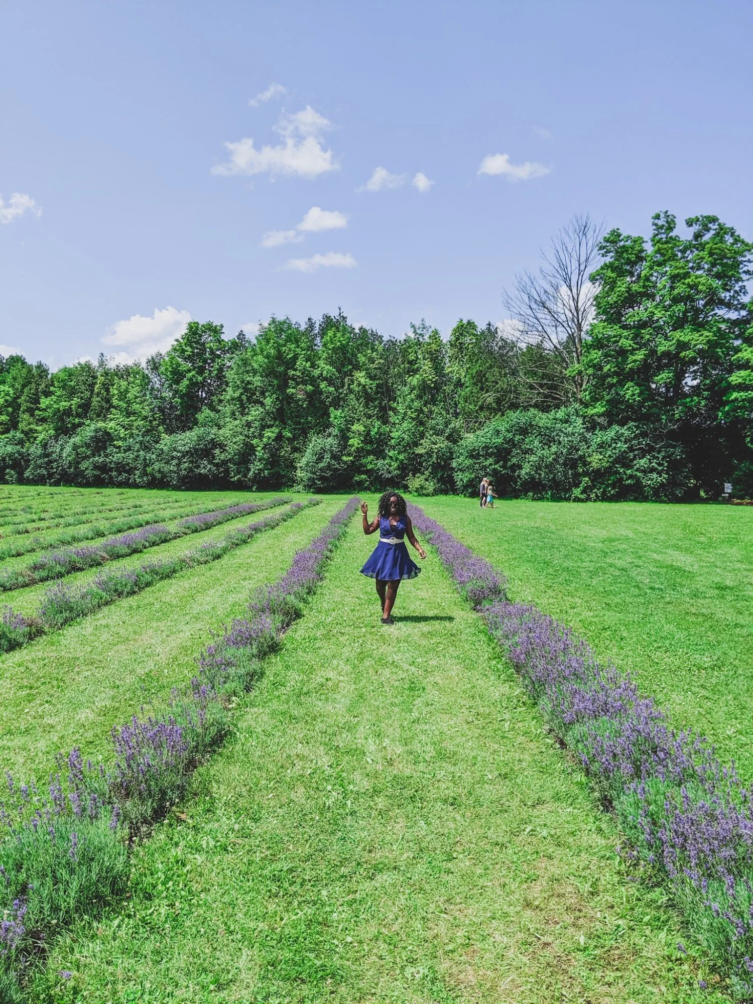 Terre Bleu lavender farm