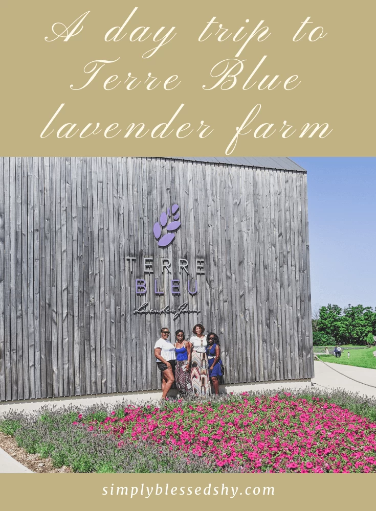 A trip to Terre Bleu lavender farm