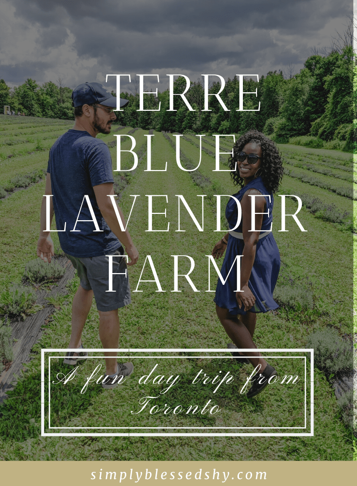 A trip to Terre Bleu lavender farm
