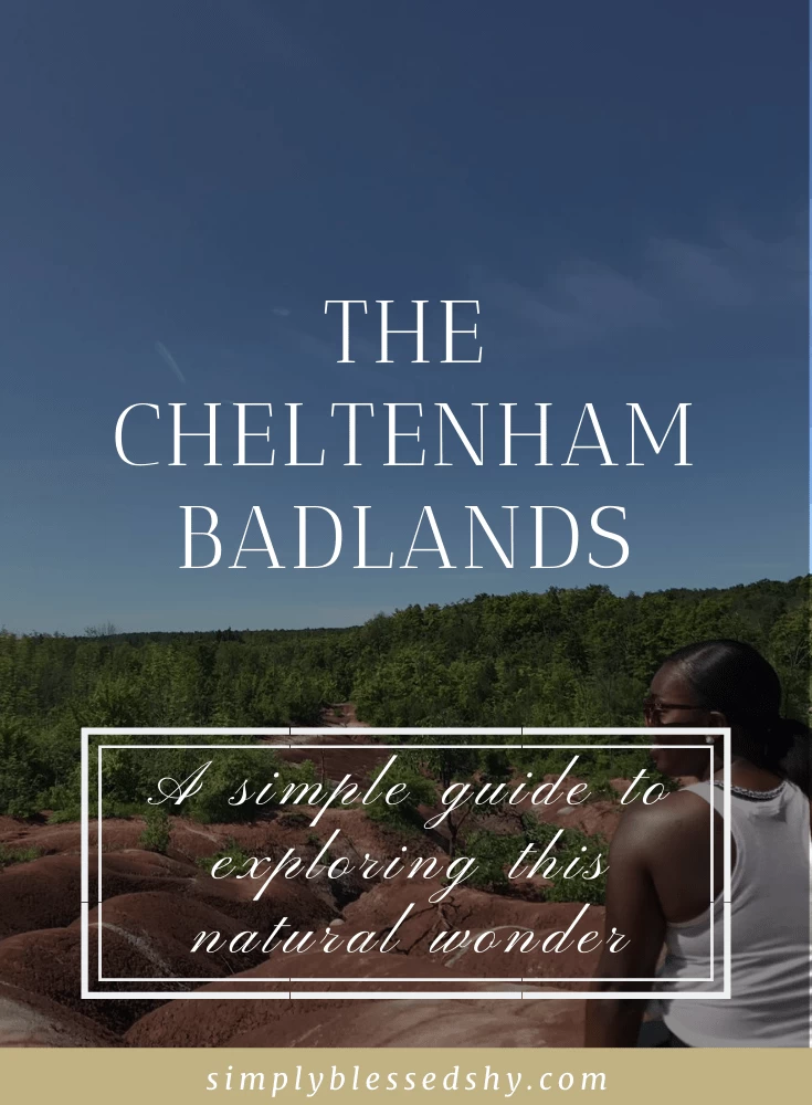 Cheltenham Badlands Pin