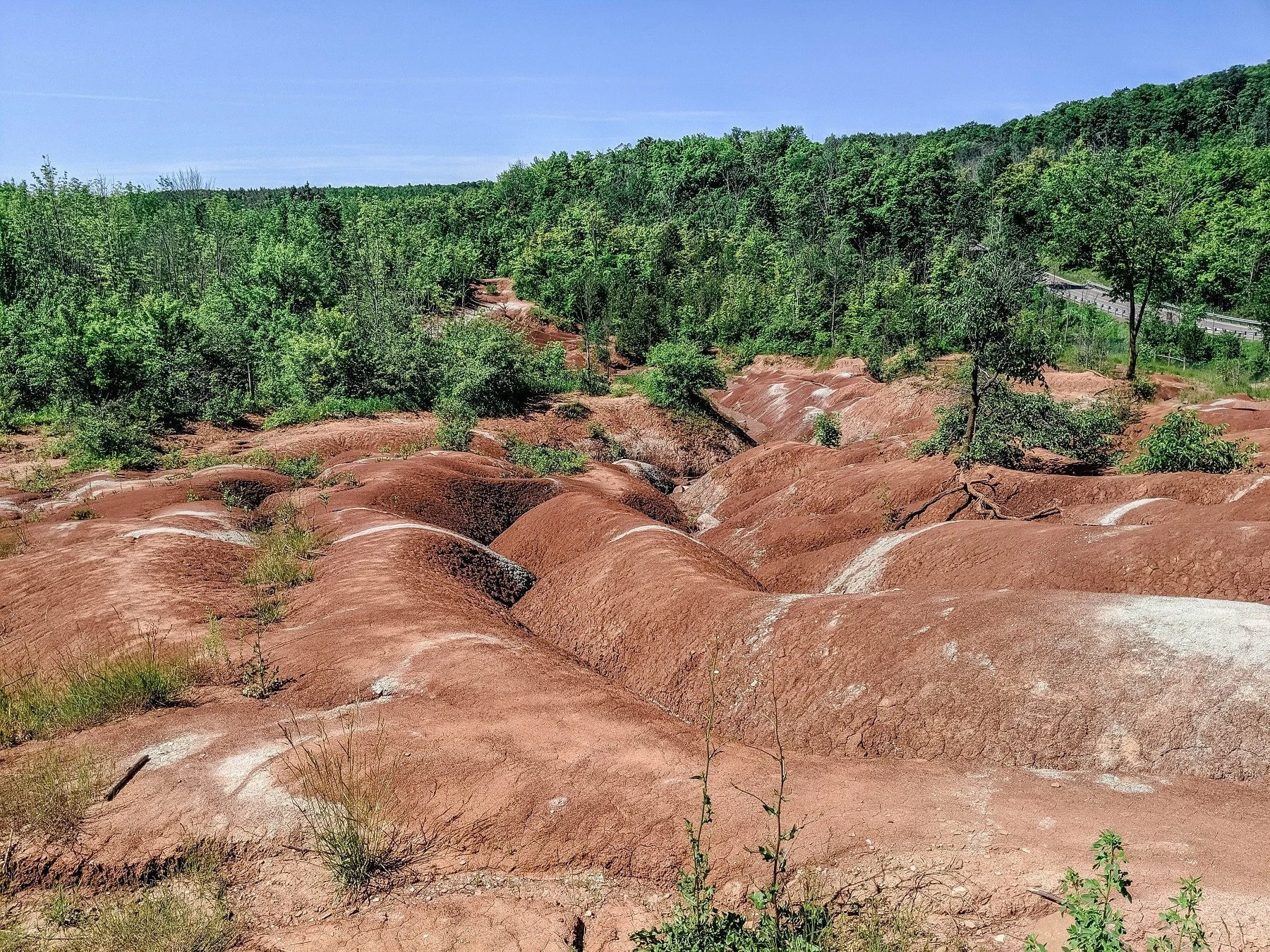 a-guide-to-the-cheltenham-badlands-simply-blessed-shy