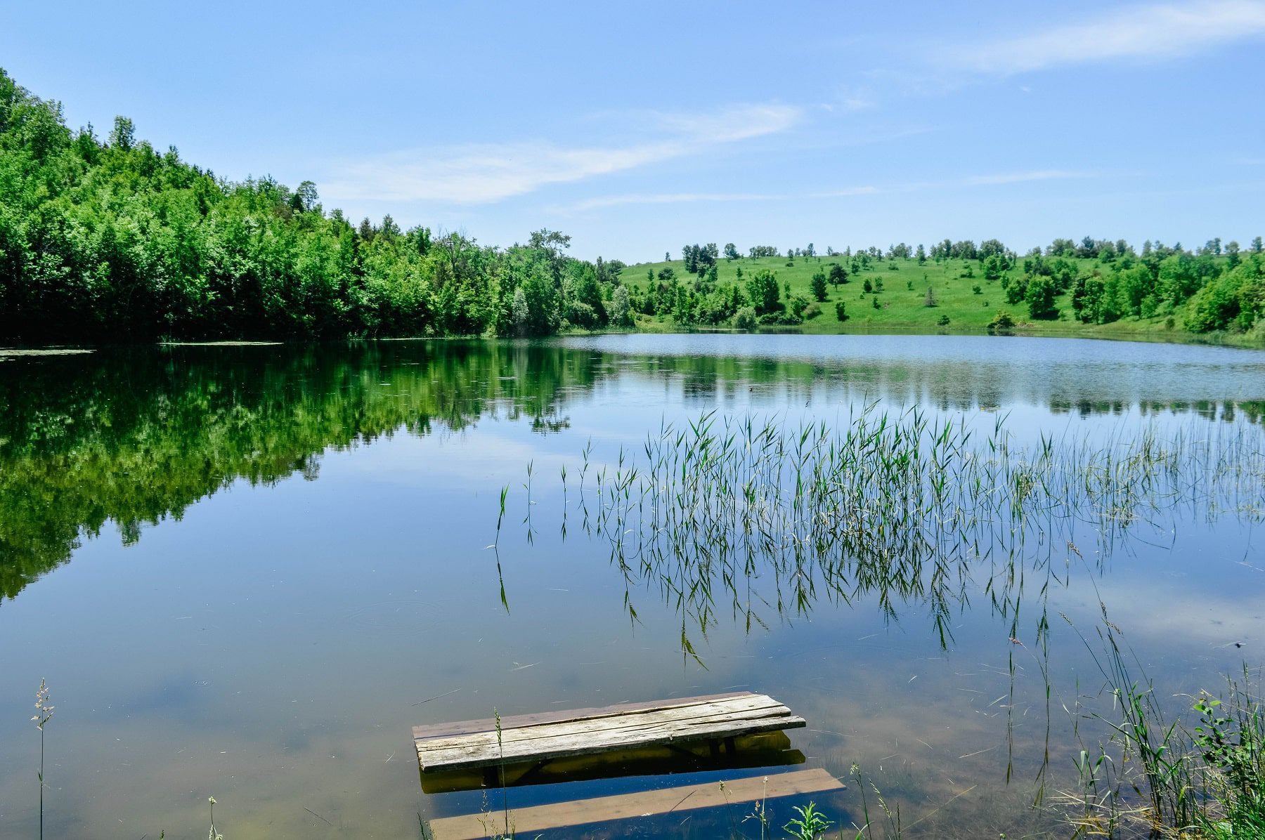 Forks Credit Provincial Park Kettle Lake