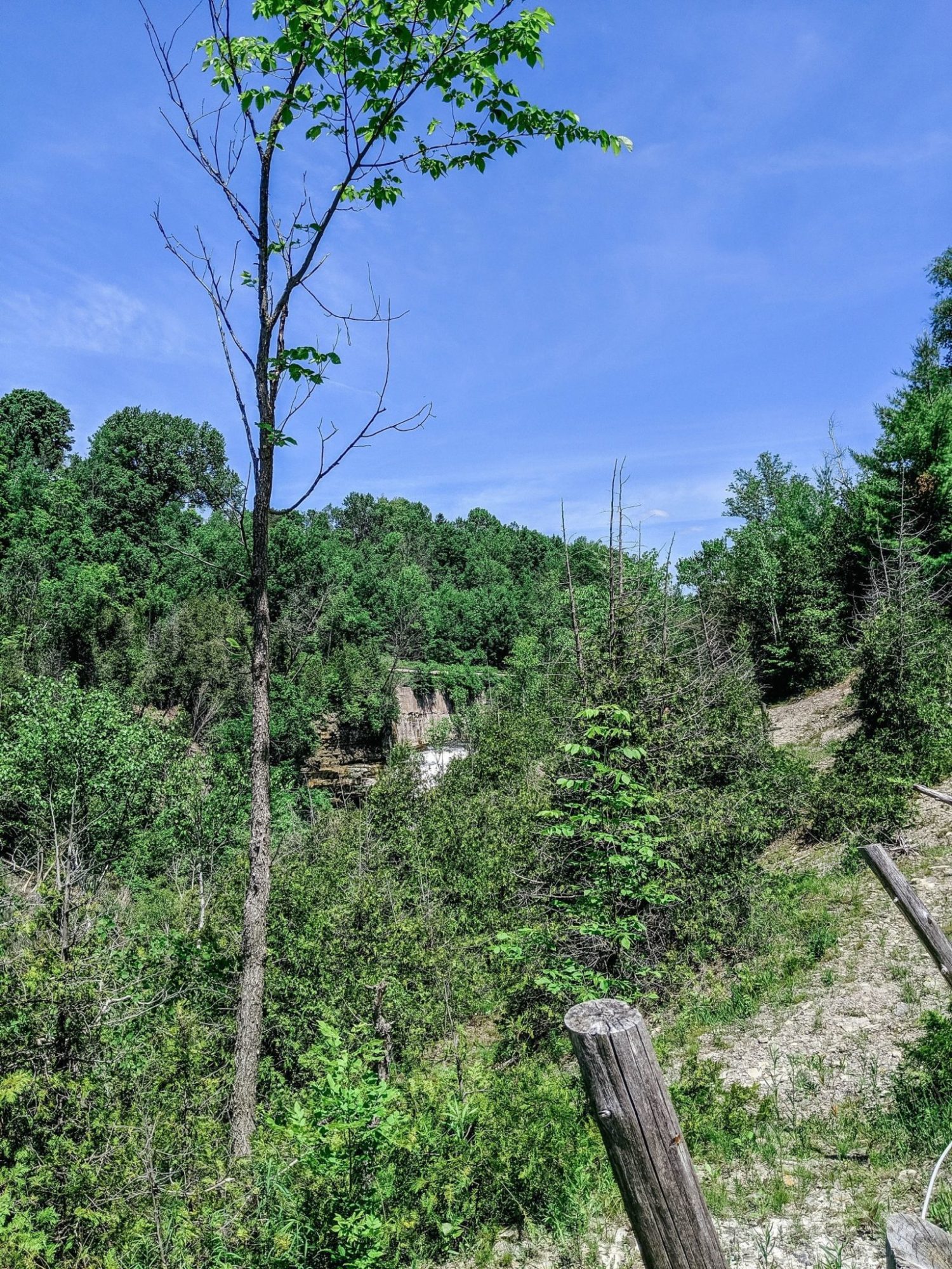 Forks Credit Provincial Park Cataract Falls