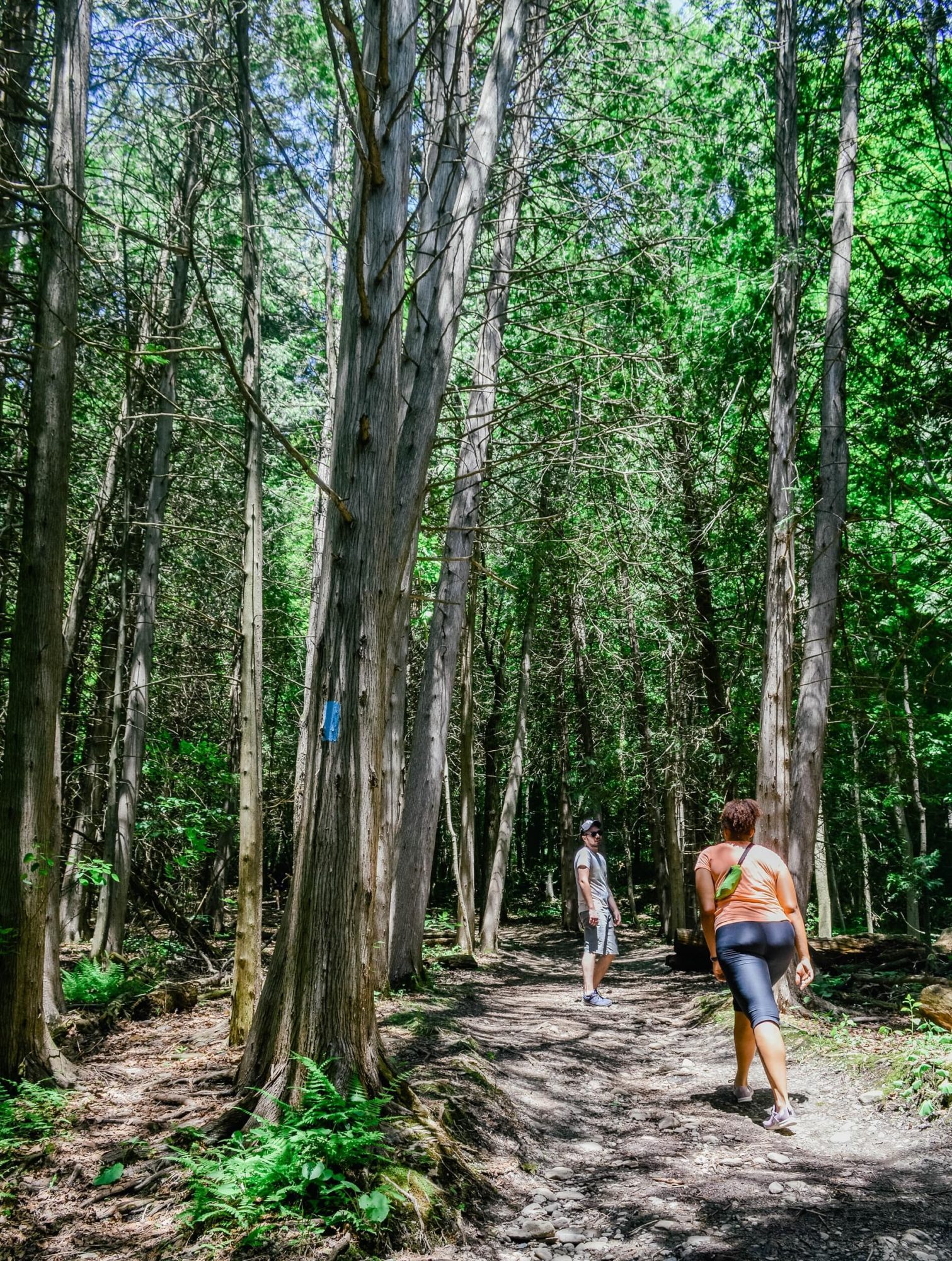 Forks Credit Provincial Park walking through the forest