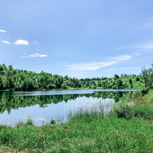 A hike to Cataract Falls in Forks of Credit Provincial Park