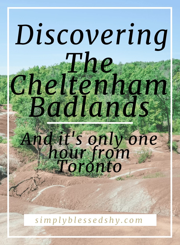 a guide to the cheltenham badlands