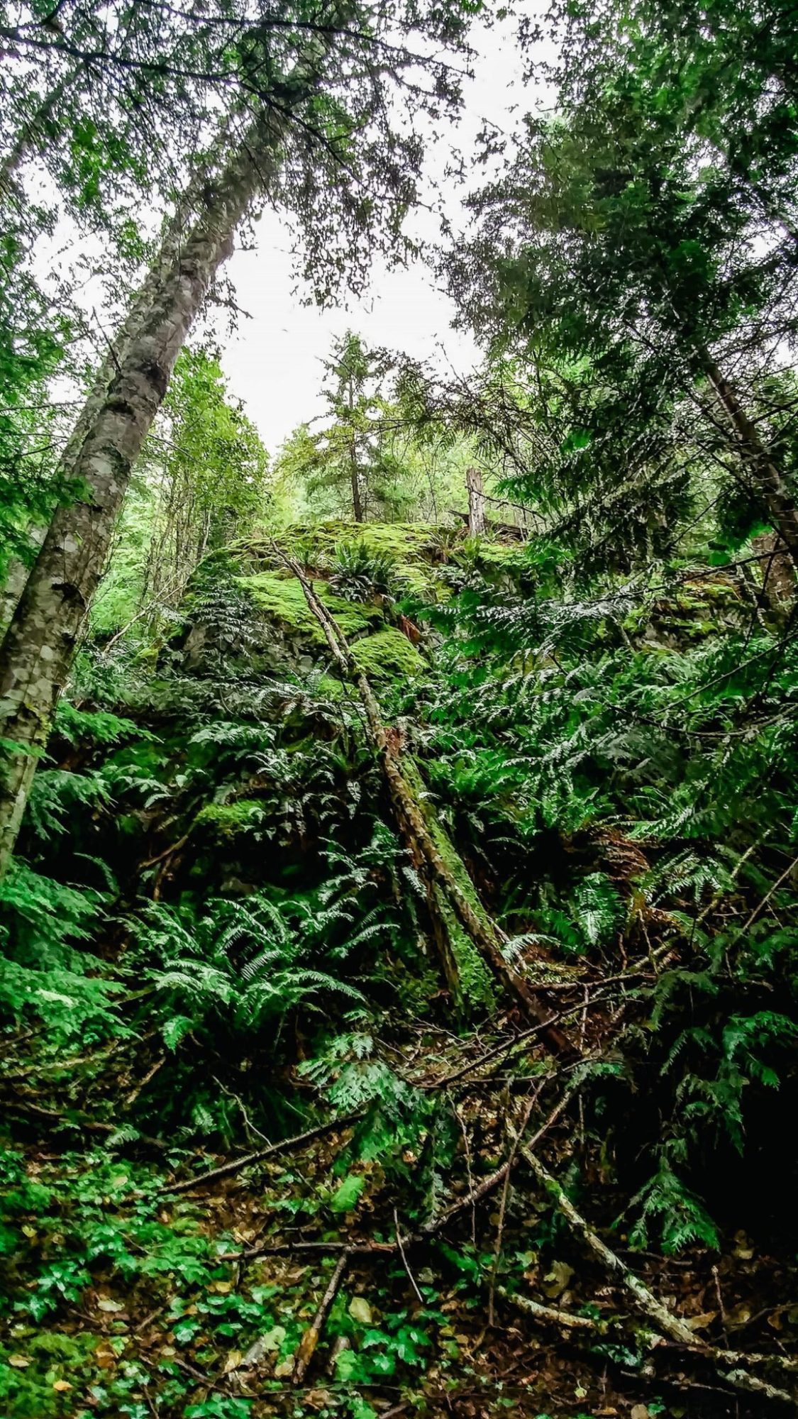 Hiking the Tunnel Bluffs trail