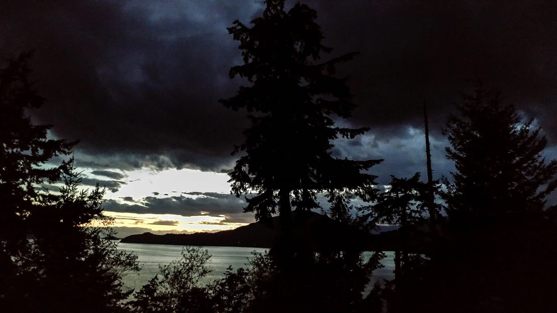 Walking through the woods as night is falling, with a view of howe sound