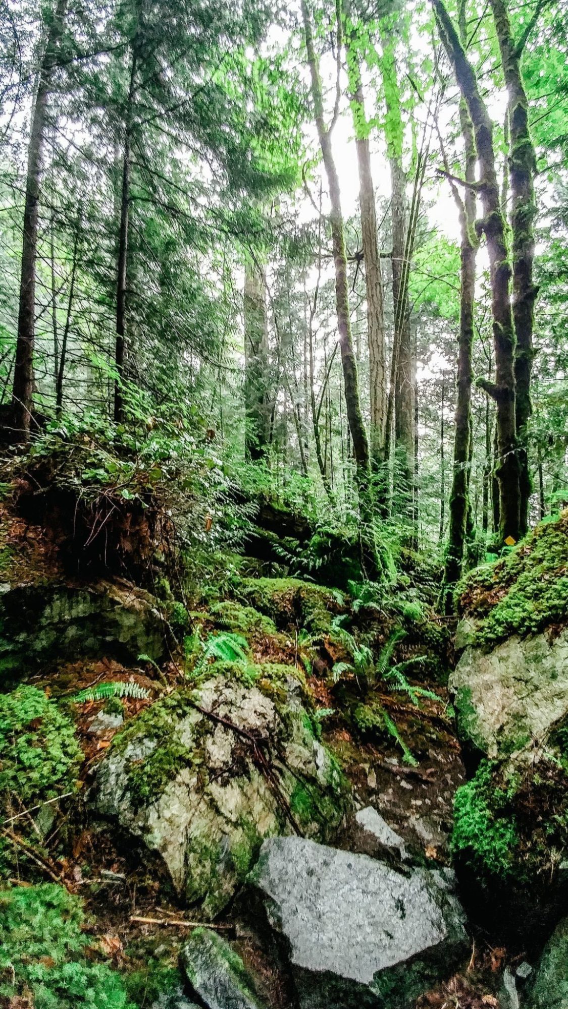 Hiking the Tunnel Bluffs trail