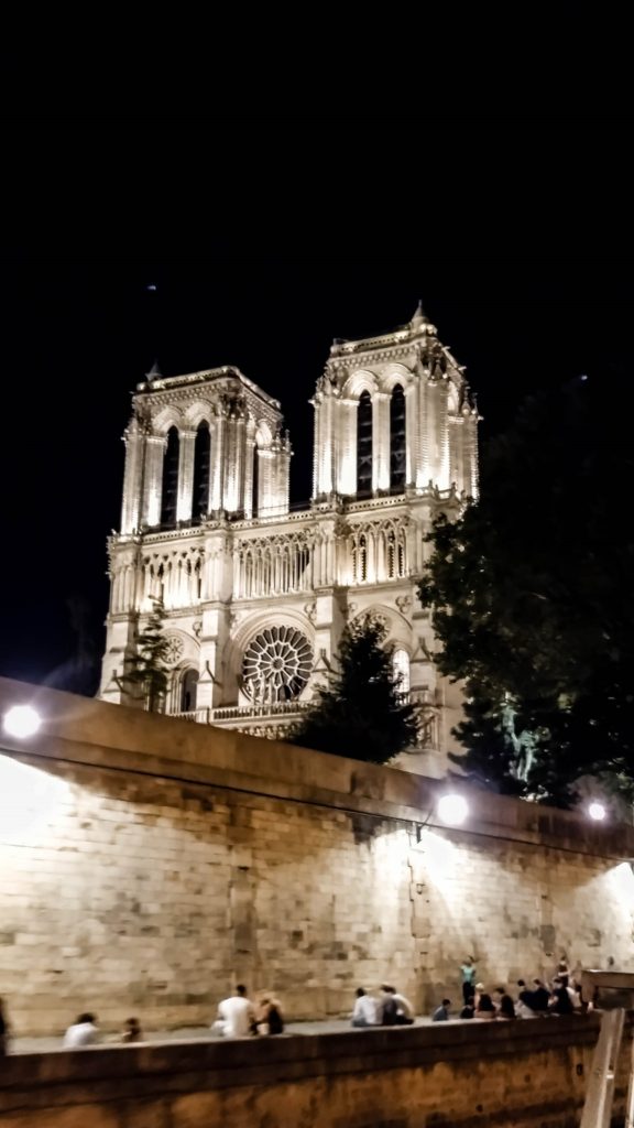 View of the Notre Dame cathedral from the seine river