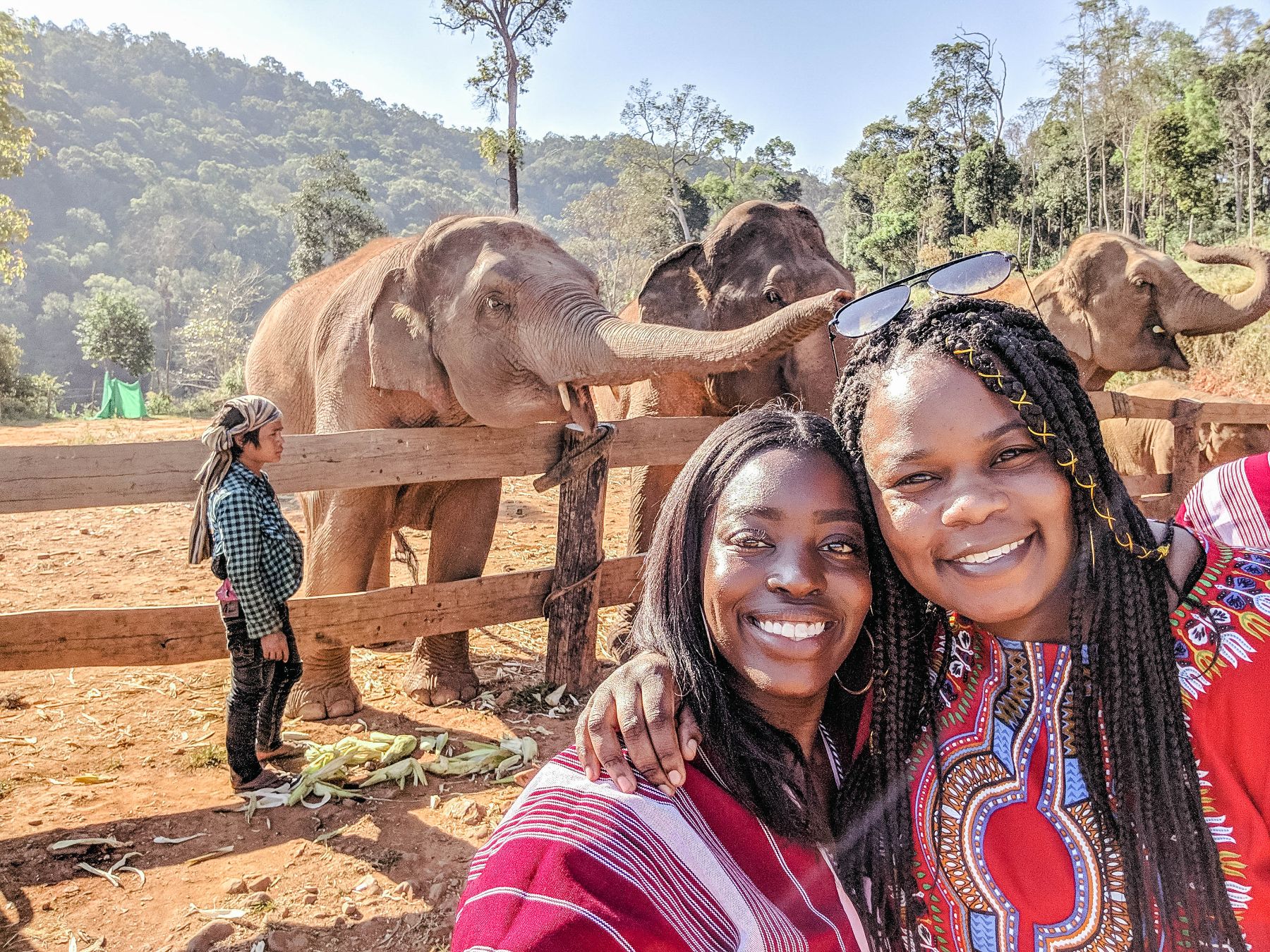 Snapping pics in front of the elephants at the jungle elephant sanctuary