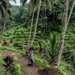 Tegalalang Rice fields, Bali