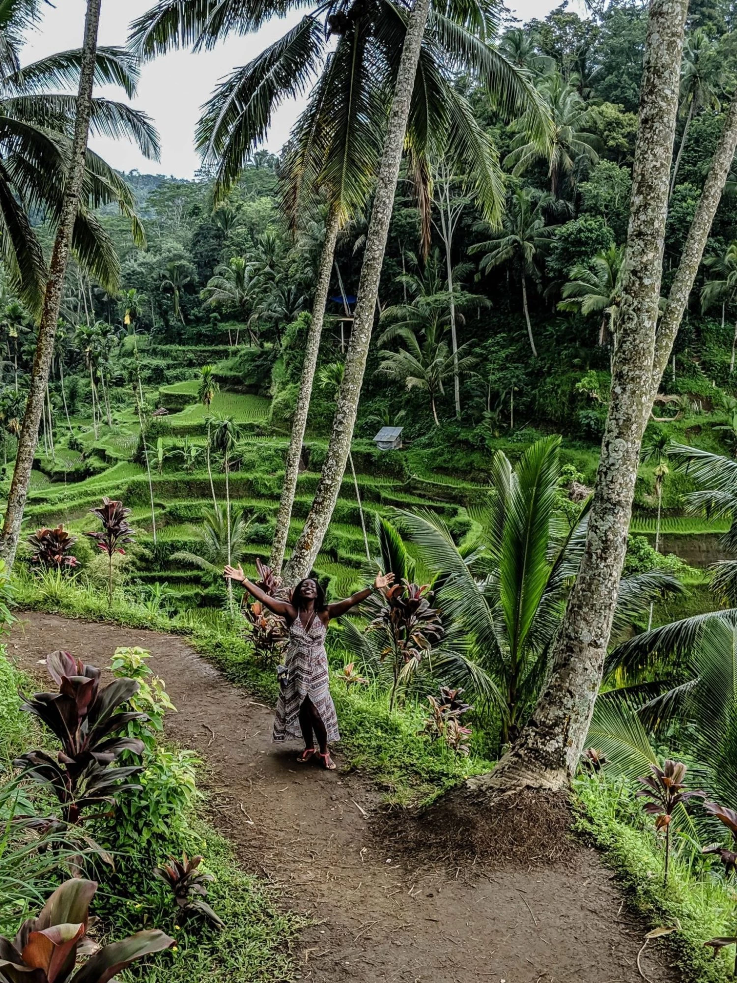 Exploring the beautiful Tegalalang Rice Terrace in Bali