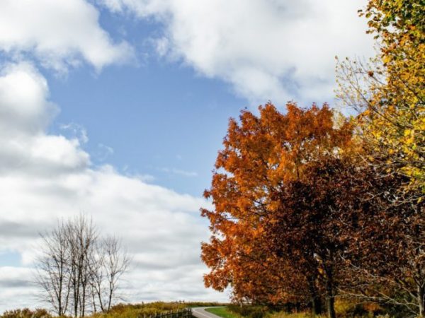 Walking along the Ajax Waterfront Trail