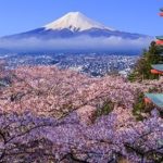 Cherry blossoms in Japan